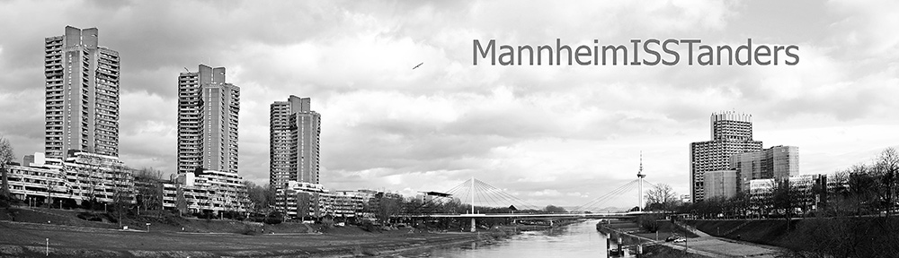 www.mahlzeitmannheim.de